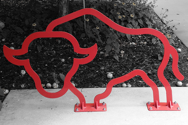 Bison-Logo-Custom-Bike-Rack